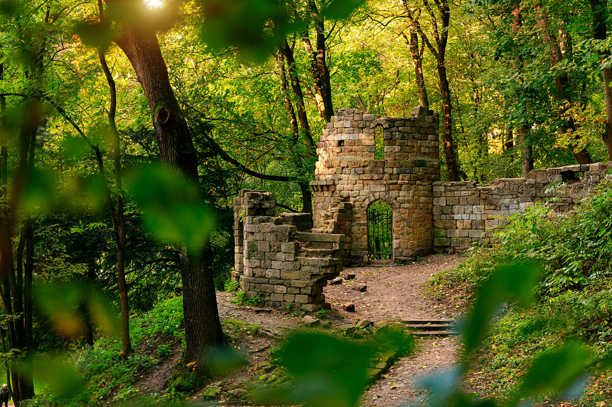 Ein Ranking von Accor zeigt, wo Reisende in und um Deutschland besonders viele Burgen und Schlösser entdecken können. Das Mittelrheintal sichert sich Platz eins vor dem Moseltal und dem Harz.