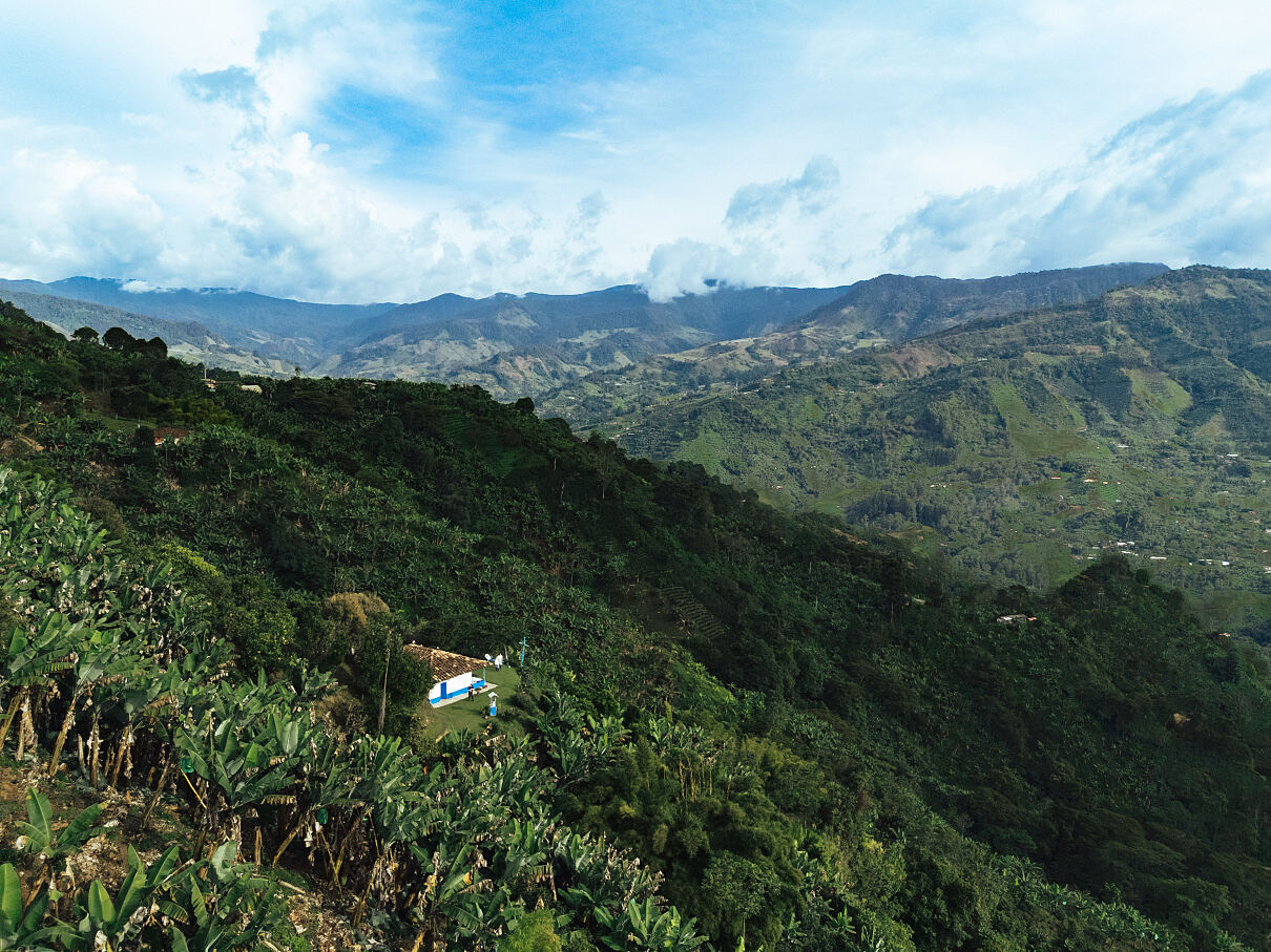 Nespresso_ GROUNDSWELL_2