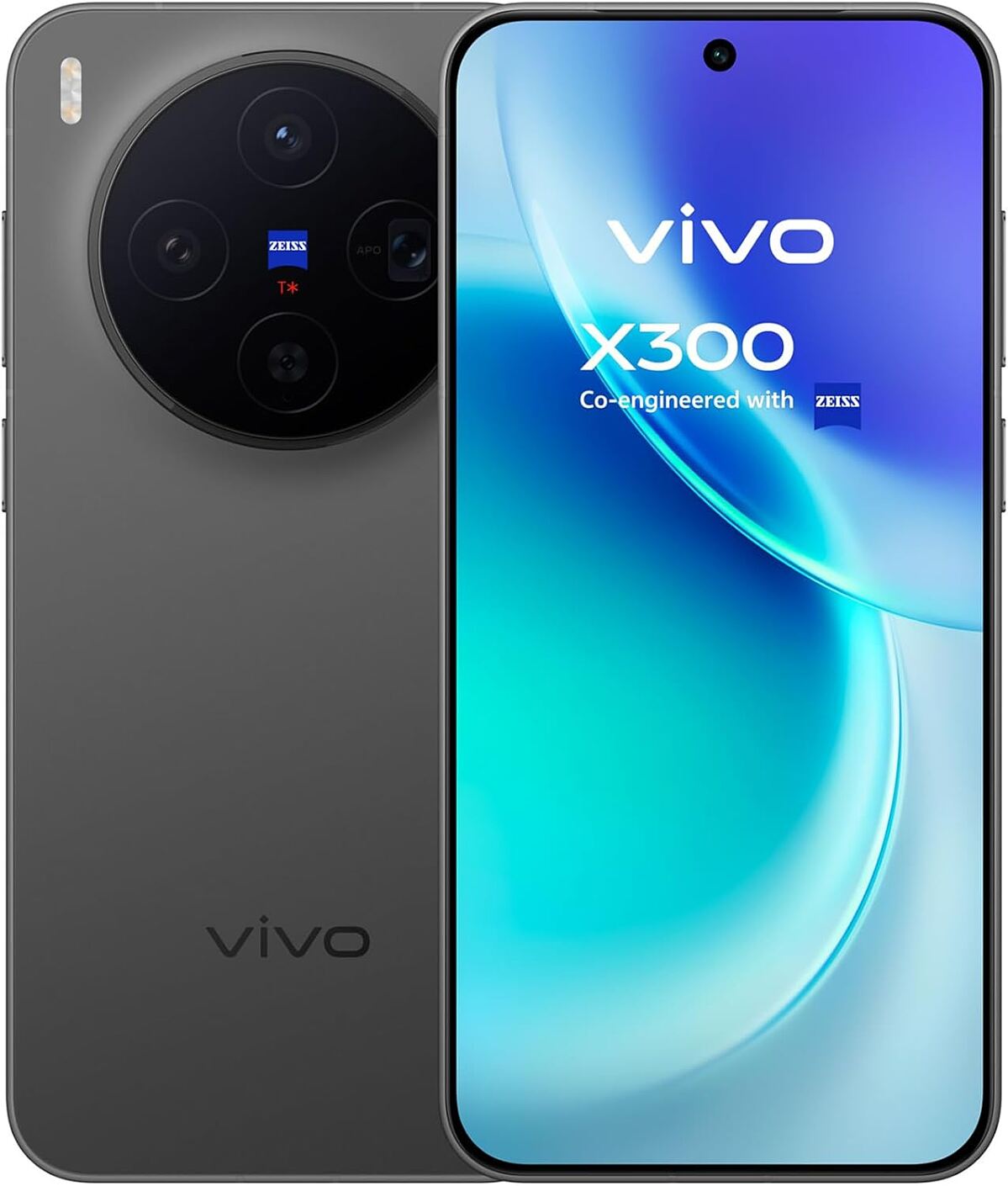 vivo X300
