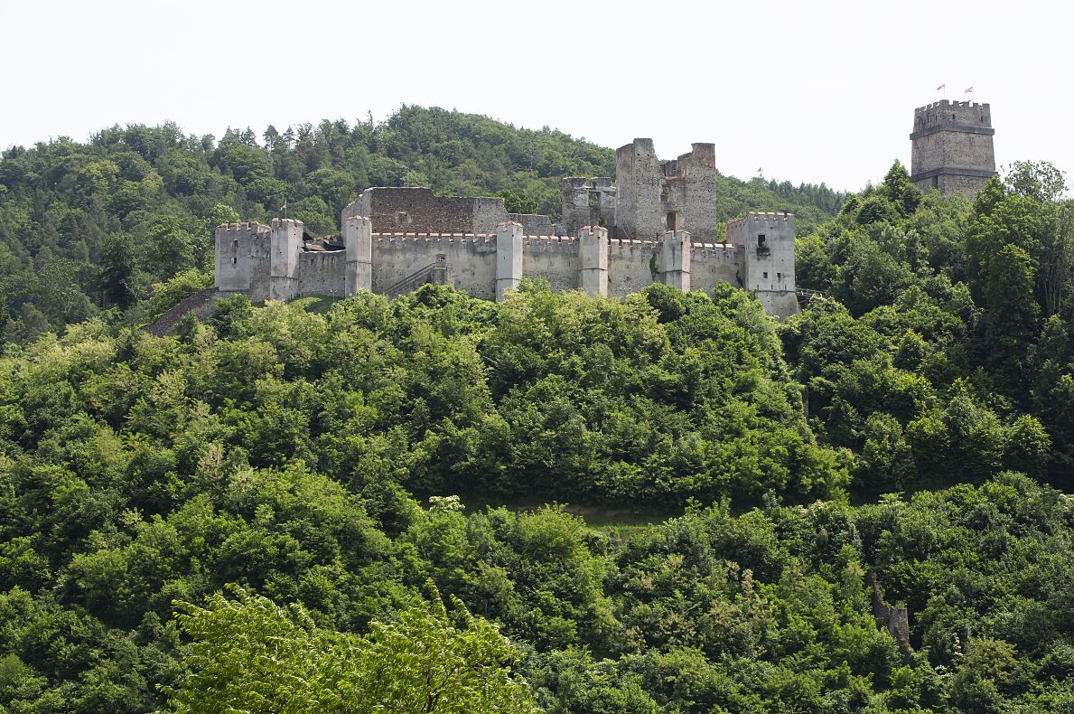 Burgruine Kirchschlag in der Buckligen Welt