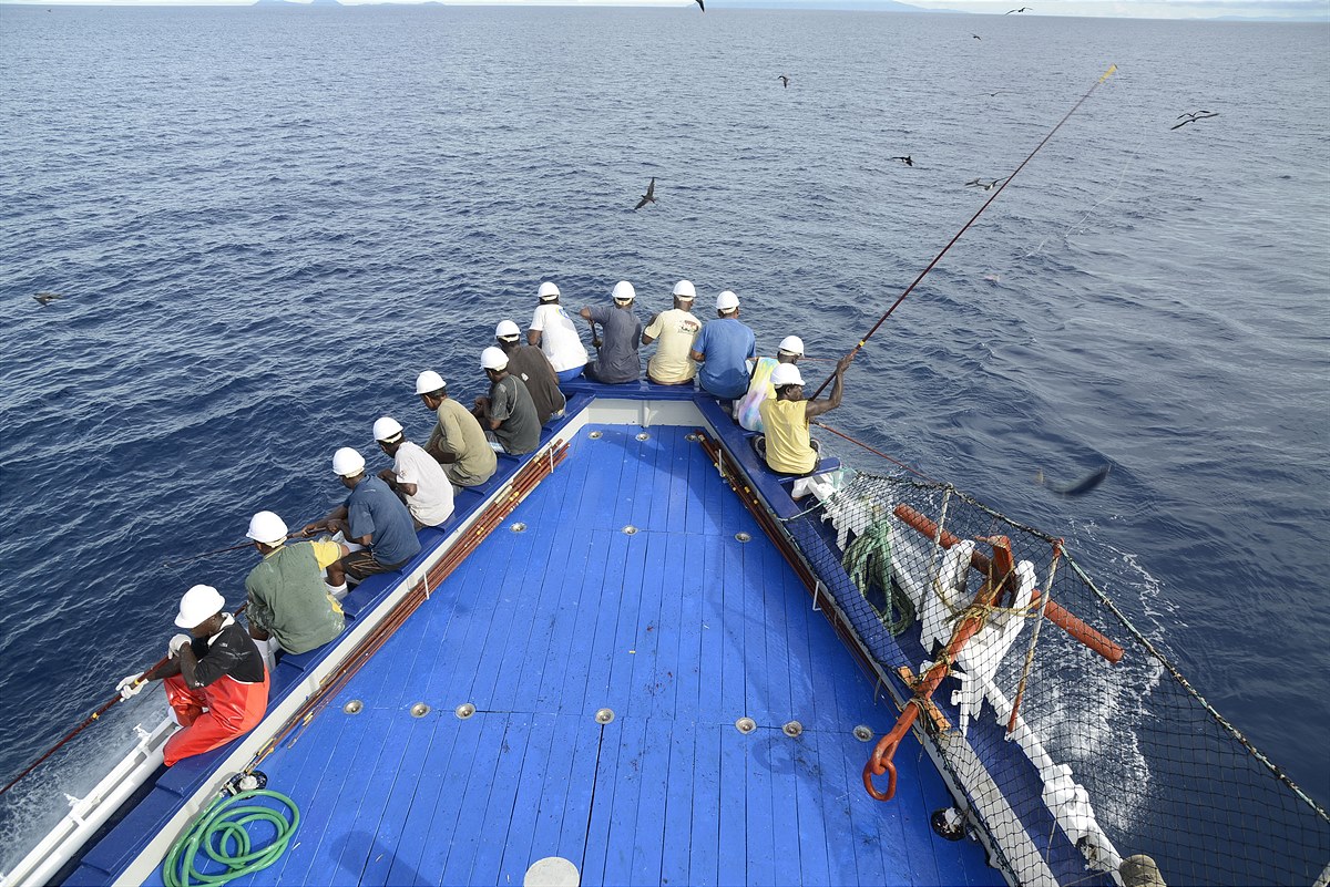 Rio Mare engagiert sich in Partnerschaft mit dem WWF für den Schutz der Meere