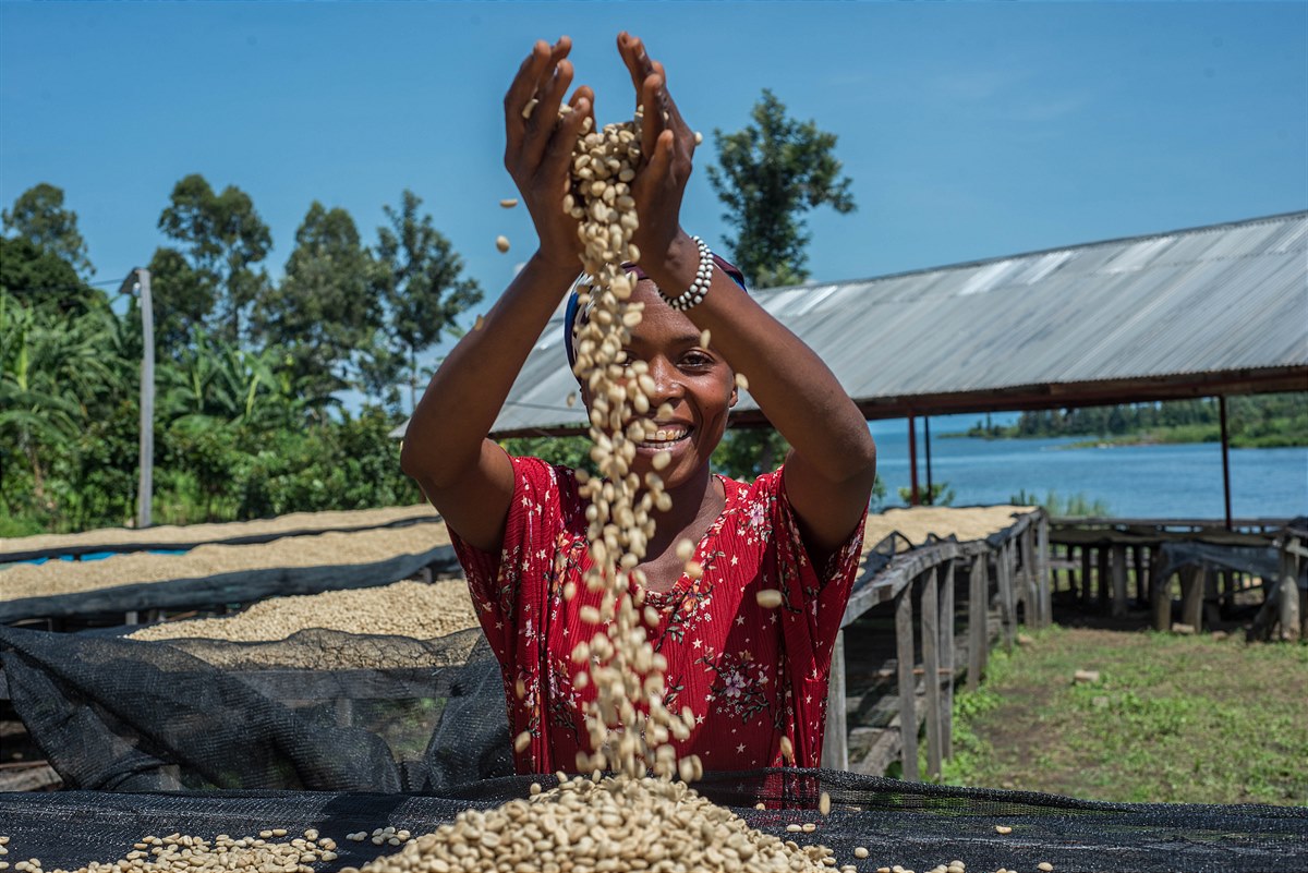 REVIVING ORIGINS: Wiederbelebung der Kaffeeregion Kongo
