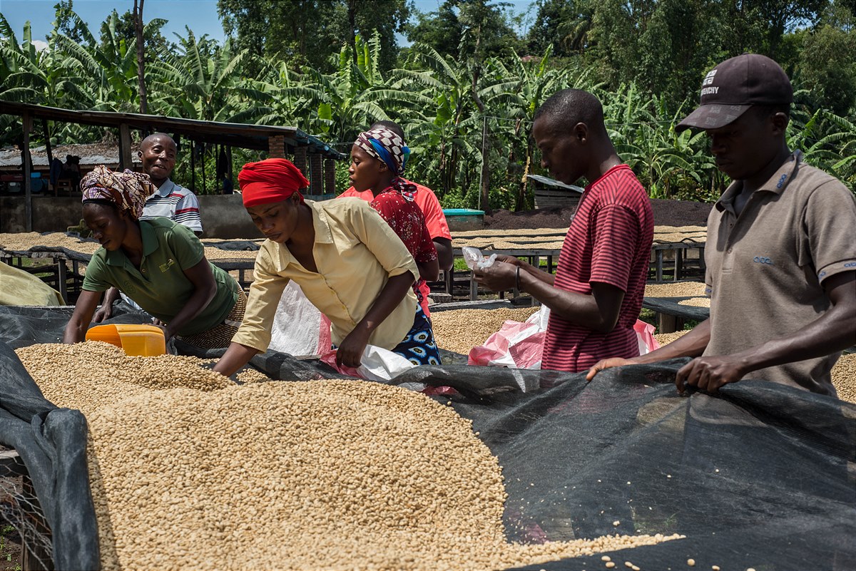 Verantwortungsvolle Kaffeeproduktion