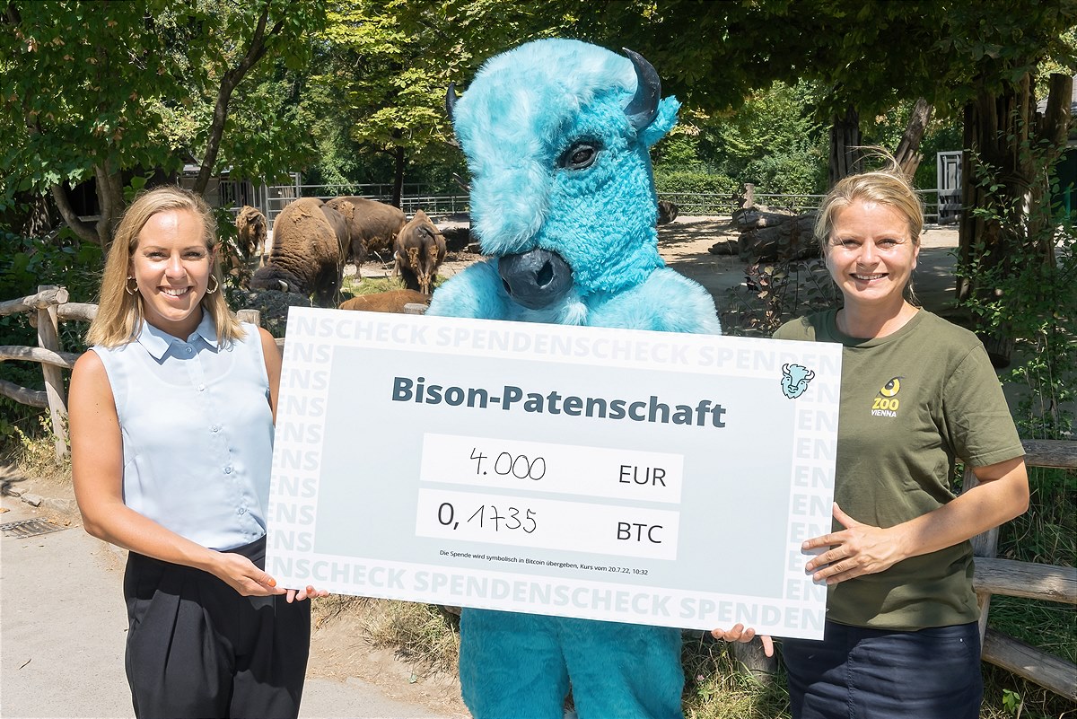 Bison-Patenschaft im Zoo Schönbrunn