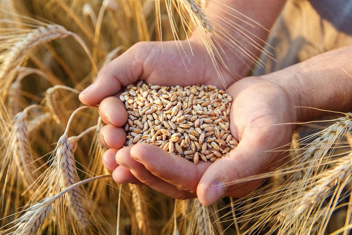 100 % Bio in Österreich ist möglich