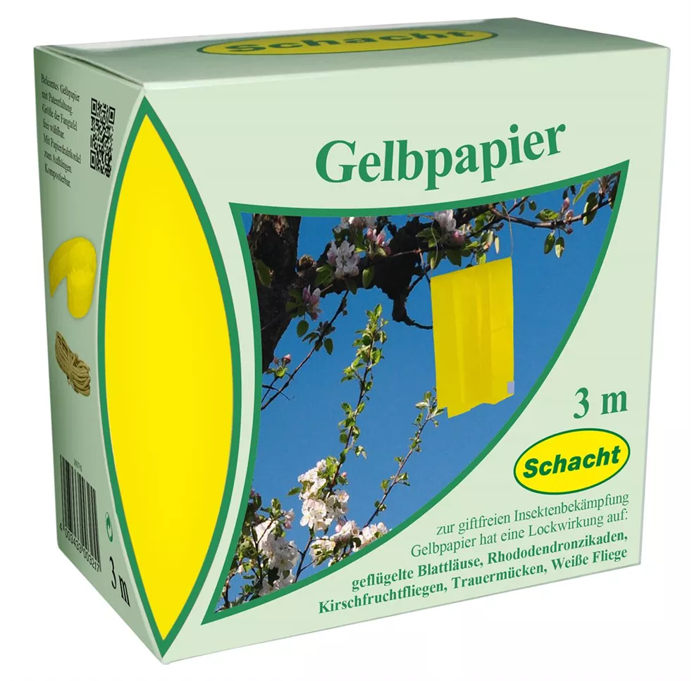 Gelbpapier von bellaflora 