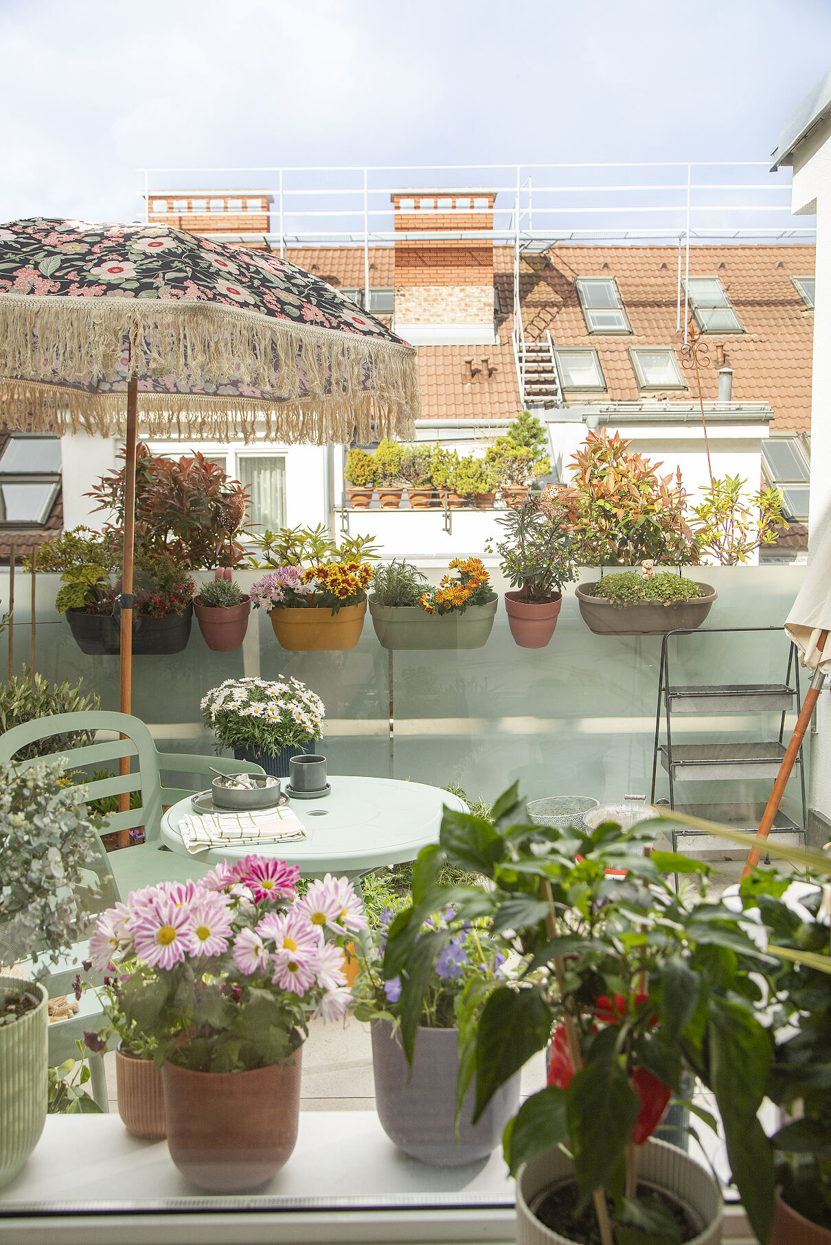 Zimmerpflanzen und Urban Gardening: Österreichs Vorlieben in der Pflanzenwelt