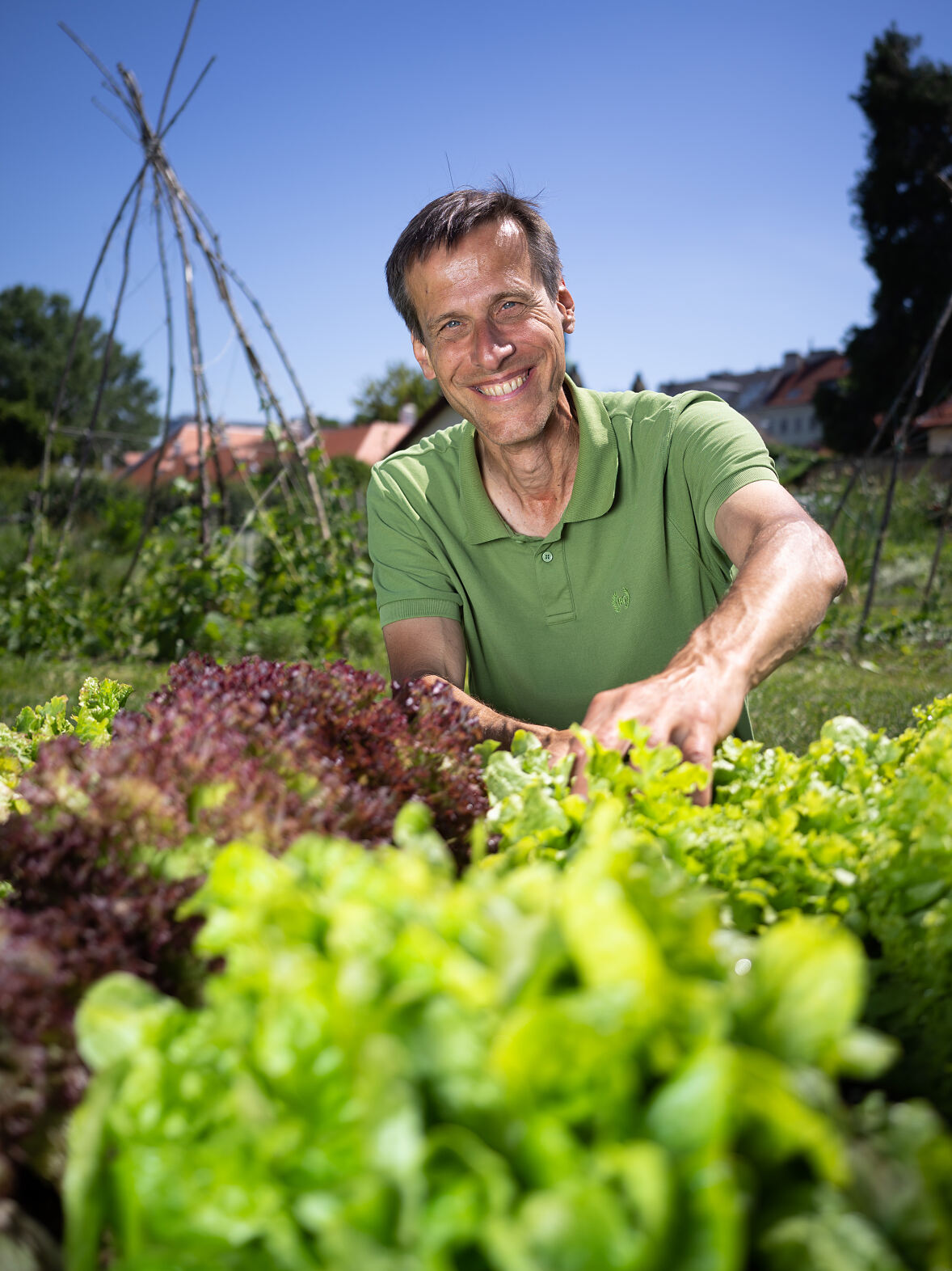 Wolfgang Palme, Leiter der Abteilung Gemüsebau an der Höheren Bundeslehr- und Forschungsanstalt für Gartenbau in Schönbrunn und der City Farm Augarten
