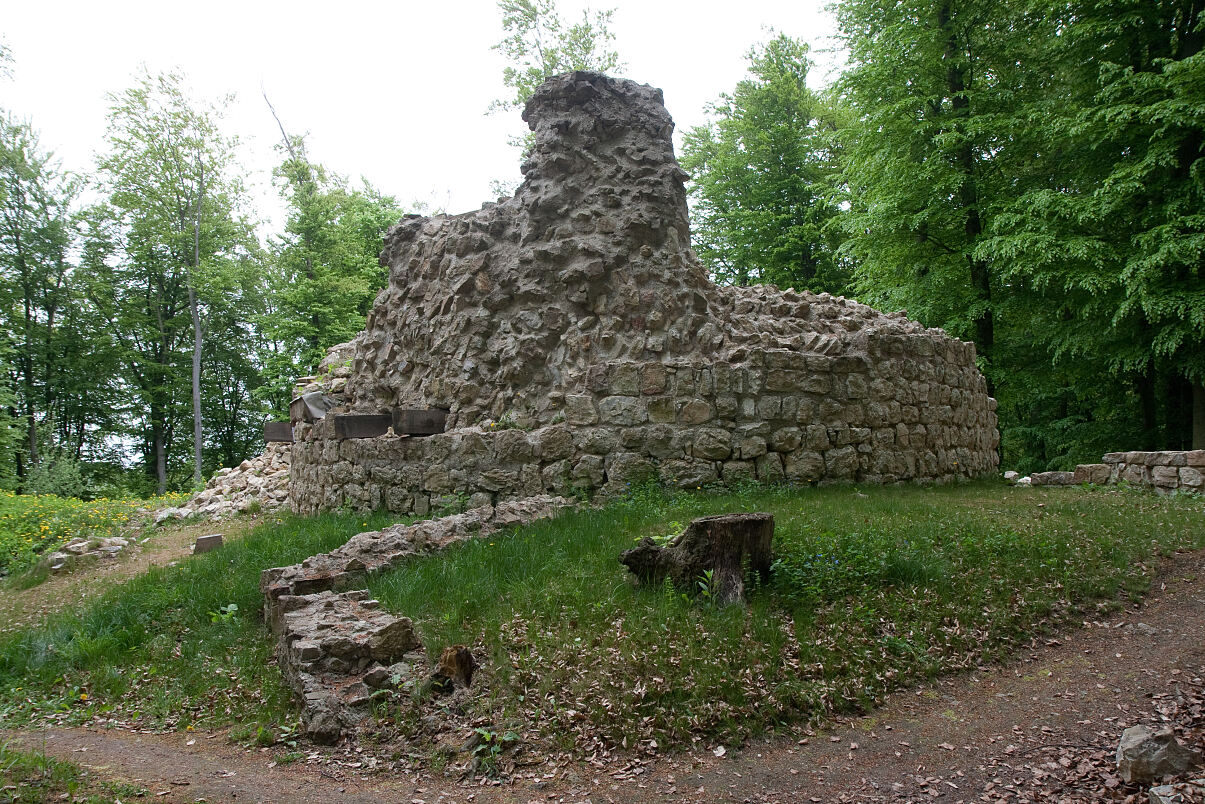 Burgruine Ried am Riederberg