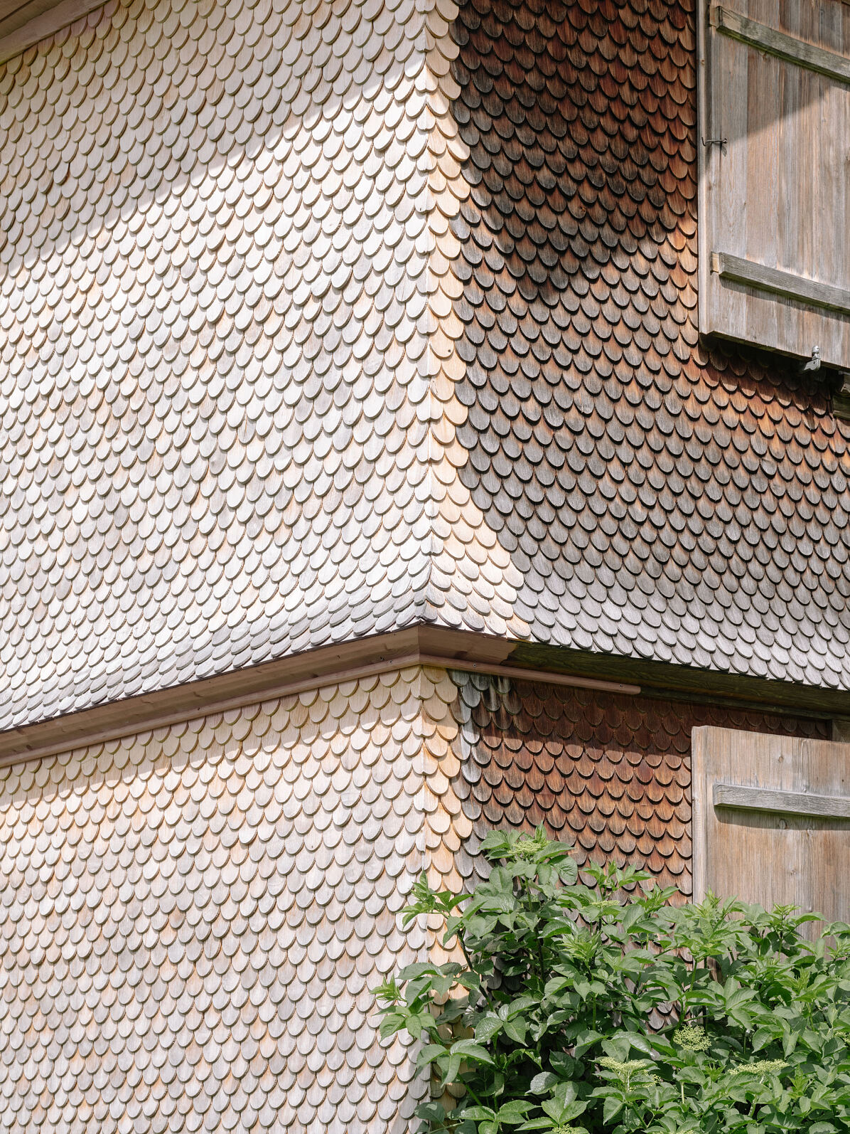 Alte und neue Holzschindeln